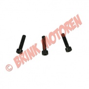 2 takt - Minibike treksterter boutjes voor metalen trekstarter - 2372 (1-1-4-1)