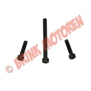 2 takt - Minibike trekstarter boutjes voor kunstof trekstarter - 2373 (1-1-3-1)