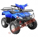 Quad/ATV 125cc BMW Hummer zwart