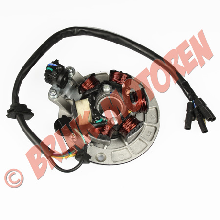 Statore E Rotore Di Accensione Per Dirt E P Bike
